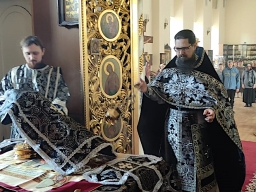 Фёдора Тирона